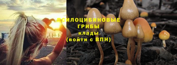 Альфа ПВП Лихославль