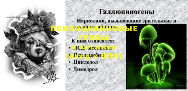хмурый Лабытнанги