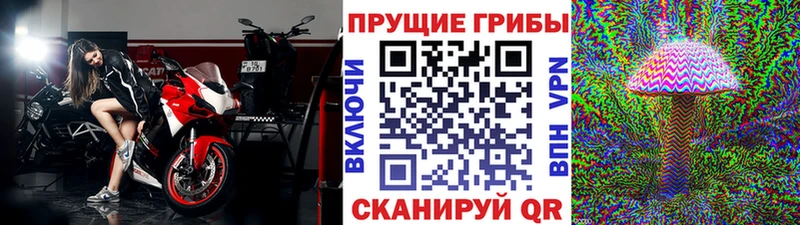 Псилоцибиновые грибы GOLDEN TEACHER  где найти   Курск 