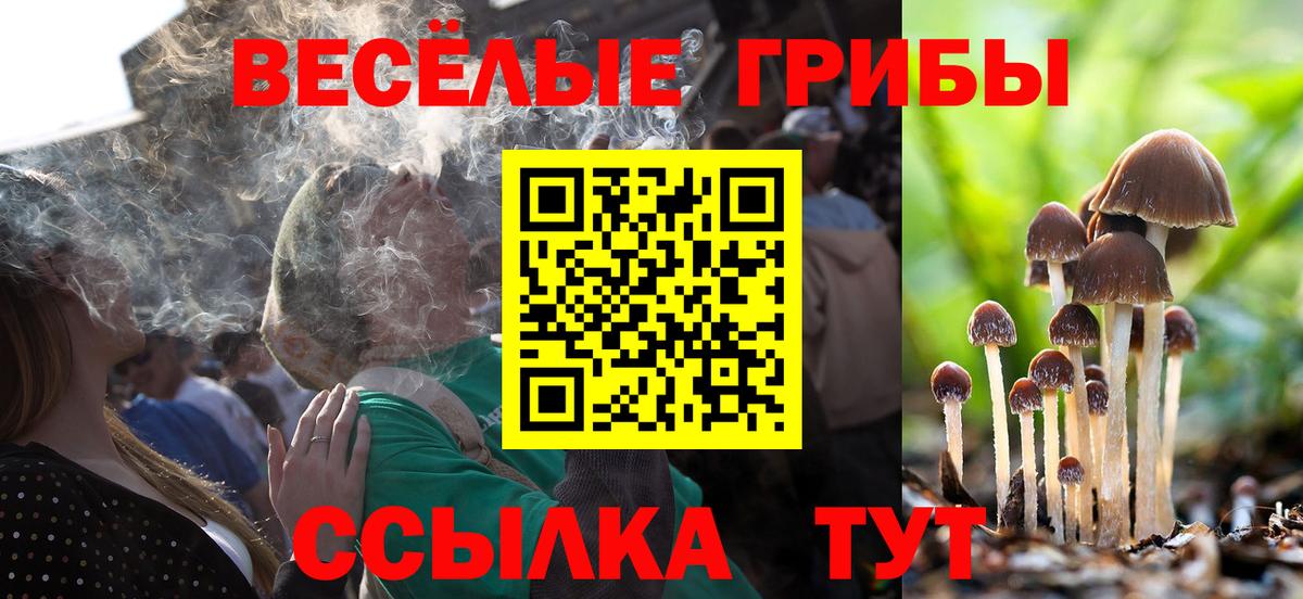 Галлюциногенные грибы Cubensis Курск