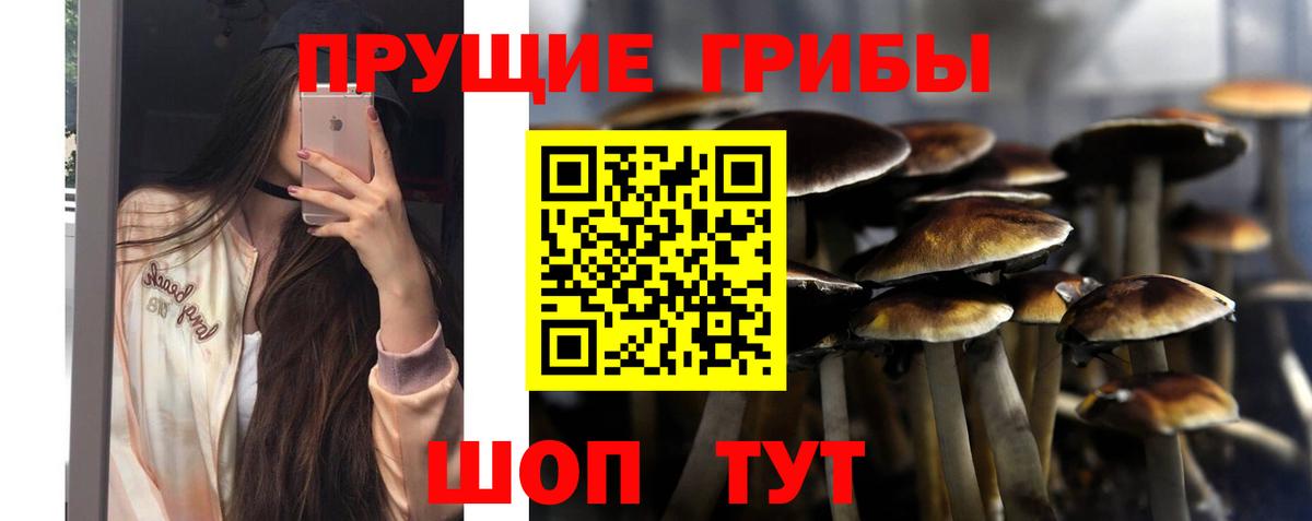 Курск  Галлюциногенные грибы Magic Shrooms  Псилоцибиновые грибы MAGIC MUSHROOMS  Вход с VPN 